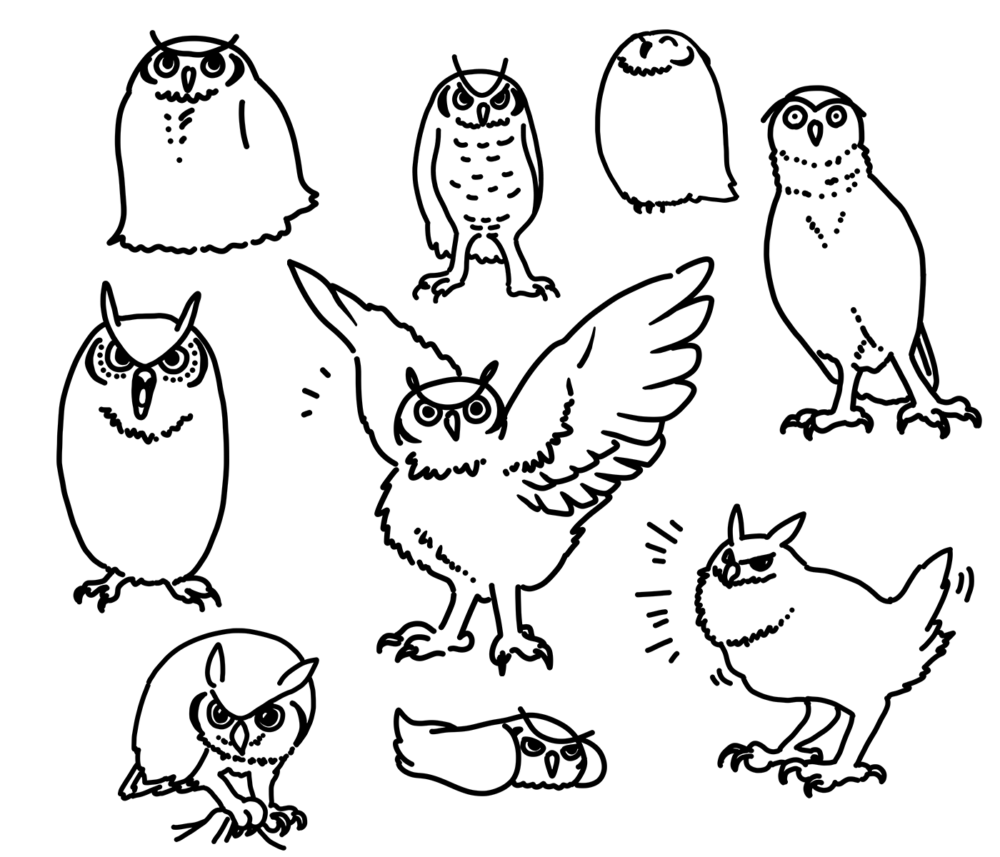 fat owl