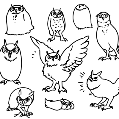fat owl